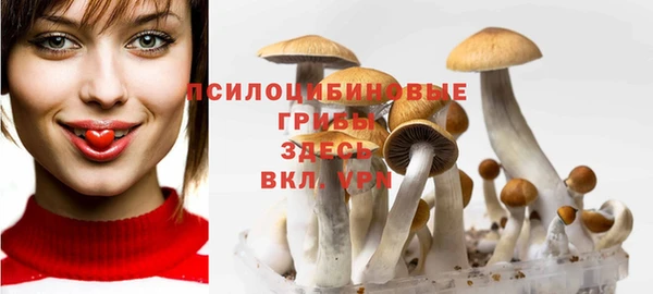 ECSTASY Горно-Алтайск