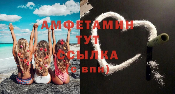 apvp Горняк