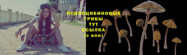 ECSTASY Горно-Алтайск