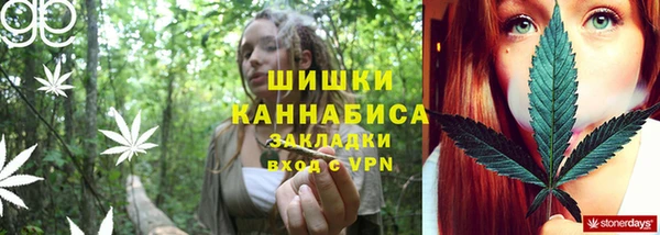 гидропоника Горнозаводск