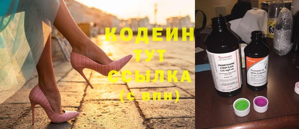apvp Горняк