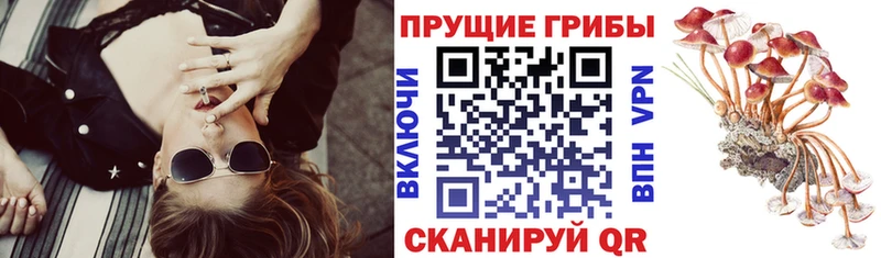 Галлюциногенные грибы ЛСД  Заозёрный 